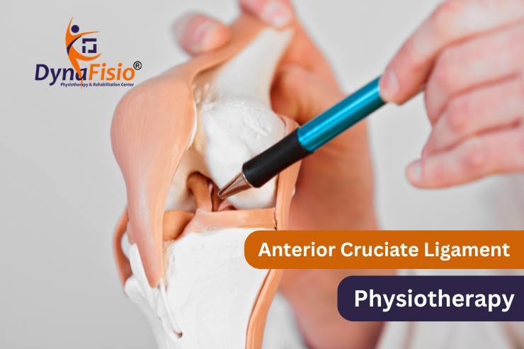 Understanding Anterior Cruciate Ligament Injuries: The Role of Physiotherapy
